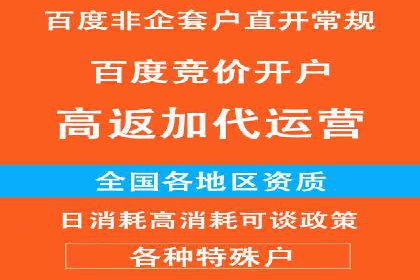 行业领先！专业SEM托管的成功实践案例